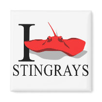 I Love Stingrays Magnets