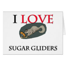 I Love Sugar Gliders Cards