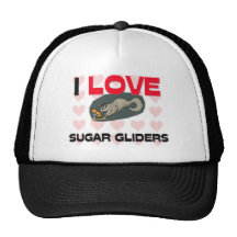 I Love Sugar Gliders Hat