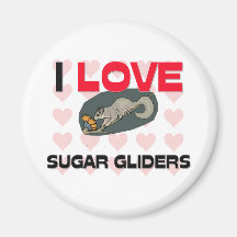 I Love Sugar Gliders Magnet