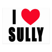 I Love Sully I HEART Sully Post Cards
