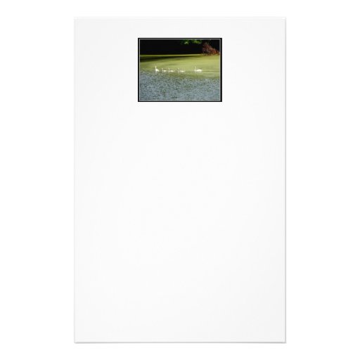 I love swans! stationery