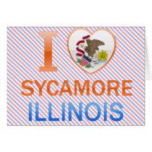 I Love Sycamore, IL Greeting Card
