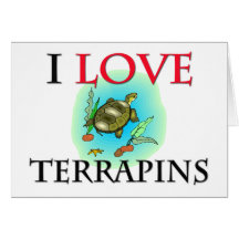 I Love Terrapins Greeting Card
