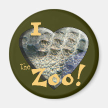 I Love the Zoo: Crocodile Heart Fridge Magnets