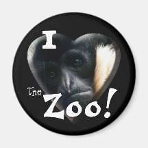 I Love the Zoo: Gibbon Heart Magnets