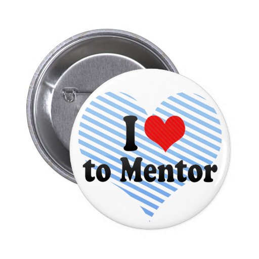 I Love to Mentor Pins