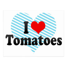 I Love Tomatoes Post Cards