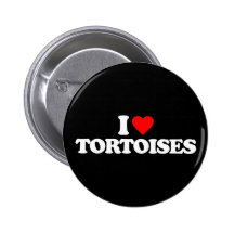 I LOVE TORTOISES PINBACK BUTTON