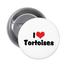 I Love Tortoises Pins