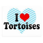 I Love Tortoises Post Card