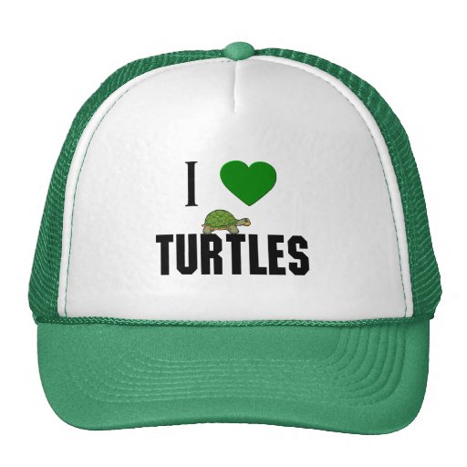 I Love Turtles Hat