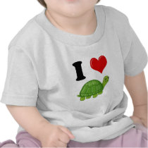 I Love Turtles Shirt