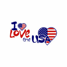 I Love USA American Heart Pin Photo Sculpture