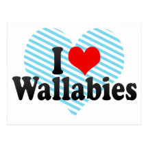 I Love Wallabies Post Card