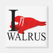I Love Walrus Magnets