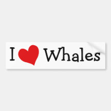 I Love Whales Bumper Stickers