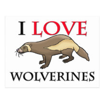 I Love Wolverines Post Card