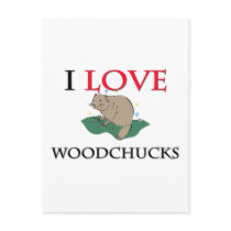 I Love Woodchucks Postcards