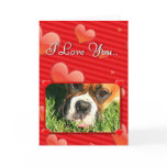 I Love You boxer dog greeting card