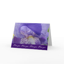 I Love You Cards I Love You Purple Iris Flowers