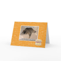 I love you, couch. greeting cards