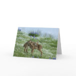 I Love You Deer Greeting Card