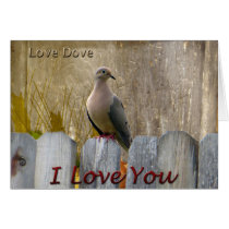 I Love You Love Dove cards
