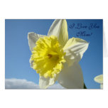 I Love You Mom! Daffodil Flower Spring Blue Sky Cards