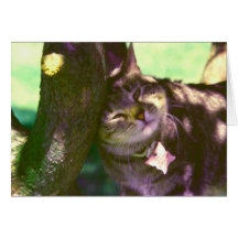 I Love You Mommy Kitty Greeting Card