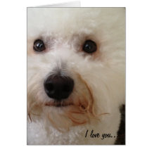 "I Love You...More!" Card