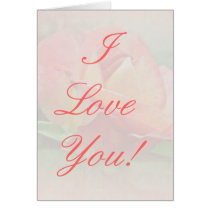 I Love You - Peachy Rose Blossom