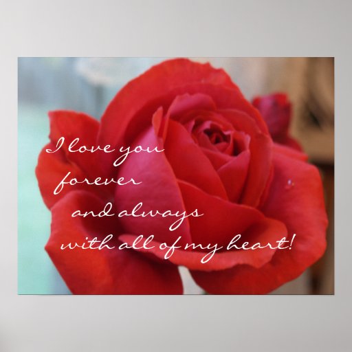 "I Love You" Red Rose Poster