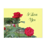 I Love You Red Roses Flower Photo Postcard