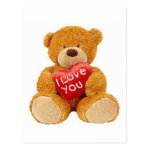 I Love You teddy bear Postcards