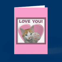 I love you with all meow heart!  Cat cards