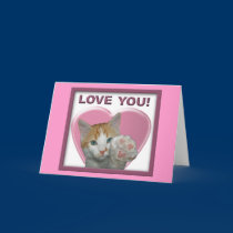 I love you with all meow heart!  Cat cards