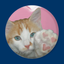 I love you with all meow heart!  Cat magnets