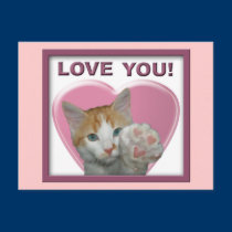 I love you with all meow heart!  Cat postcards