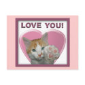 I love you with all meow heart!  Cat postcards