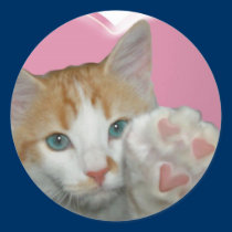 I love you with all meow heart!  Cat stickers