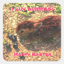 I LUV BUNNIES! Cute Square Sticker