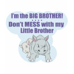 I’m the Big Brother, Don’t Mess my Little Brother t-shirts
