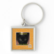 I may be schizophrenic key chains