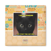 I may be schizophrenic magnets