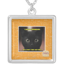 I may be schizophrenic necklace