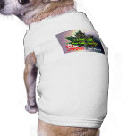 I may LOOK Mexican, but I'm Canadian born and bred Pet Shirt