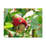 I Miss You/ Any Occasions_Postcard