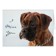 I Miss you boxer puppy greeting card
