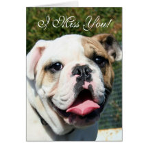 I Miss You Bulldog greeting card